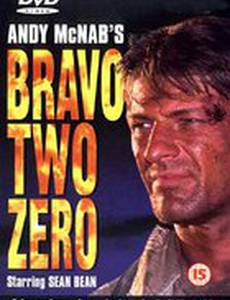 Буря в пустыне