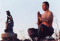 Кадр Весна, лето, осень, зима... и снова весна