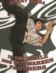 Душа Брюса Ли