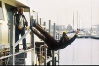 Кадр Кодекс молчания