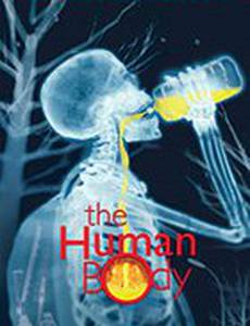 Человеческое тело