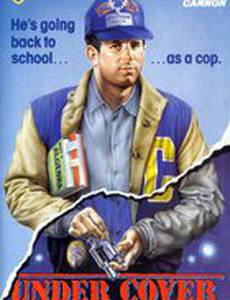 Под прикрытием