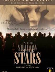 В тени звезд