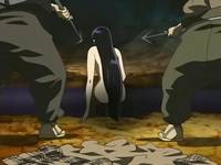 Кадр Лес русалок