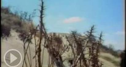 Фрагмент №3