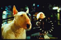 Кадр Бэйб: Поросенок в городе