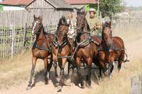 Кадр Жила-была одна баба