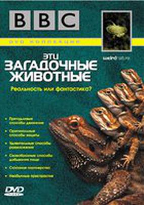 BBC: Эти загадочные животные