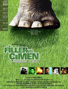 Слон и трава