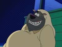 Кадр Все собаки празднуют Рождество (видео)