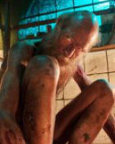 Питер Якоби фото