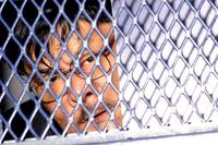 Кадр Тройной перехват