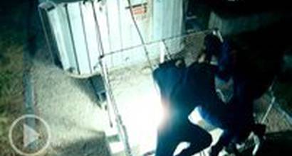 DVD-трейлер (русский язык)