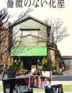 Цветочный магазин без роз