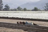 Кадр Начало