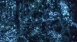 Кадр из фильма "Земля: Один потрясающий день" - 2