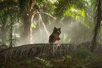 Кадр Пятеро друзей 3