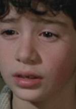 Меено Пелусе фото