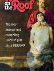 Женщины на крыше