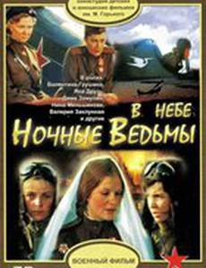 В небе «ночные ведьмы»