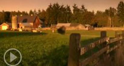 DVD-спот (9-й сезон)