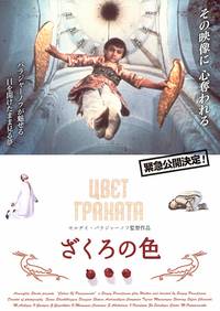 Постер Цвет граната