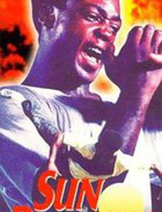 Солнечный дракон