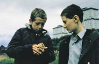 Кадр Крысолов