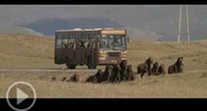 Промо-трейлер