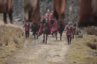 Кадр Мерлин