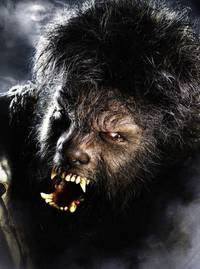 Кадр Человек-волк