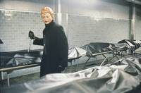 Кадр День Святого Валентина