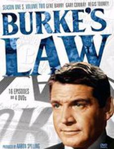 Правосудие Берка