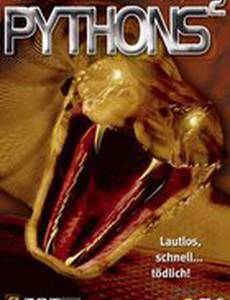 Питоны 2 (видео)
