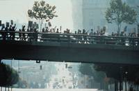 Кадр Хлеб и розы