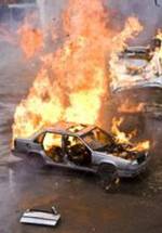 Робин Холдер фото