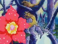 Кадр Эль-Хазард: Странники