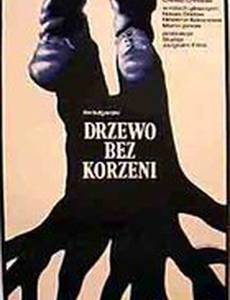 Дерево без корней