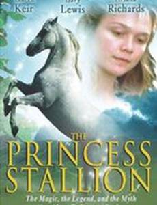 Принцесса: Легенда белой лошади