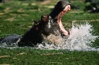 Кадр Окаванго 3D. Африканское сафари