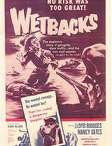 Мокрые спины