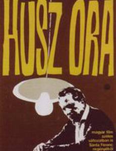 Двадцать часов