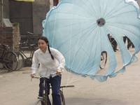 Кадр Павлин