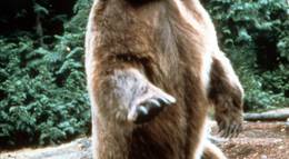 Кадр из фильма "Верное сердце" - 2