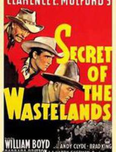 Secrets of the Wasteland