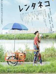 Кошка напрокат