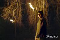 Кадр Таинственный лес