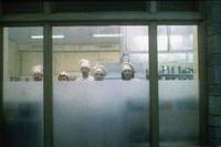 Кадр Ты, живущий