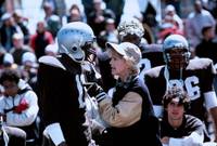 Кадр Дикие кошки