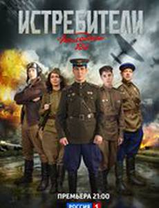 Истребители: Последний бой